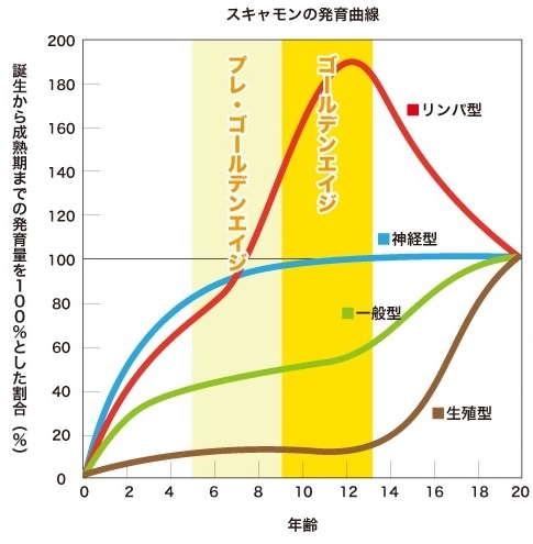 インプラント治療とは?